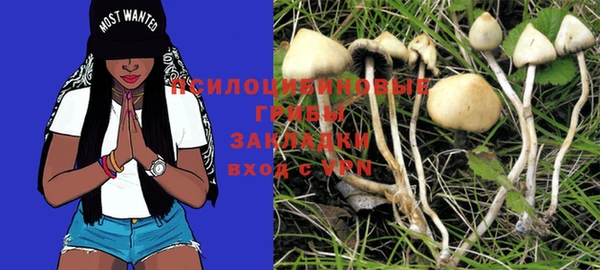 PSILOCYBIN Верея