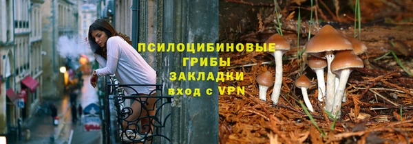 шишки Верхнеуральск