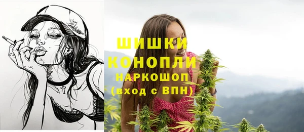 шишки Верхнеуральск